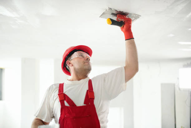 Wallpaper Removal and Painting in Mason Neck, VA